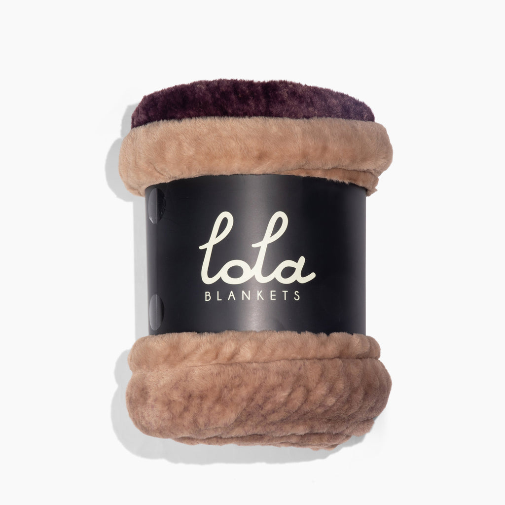 Vintage Violet Ombre